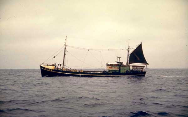 Mijn 8ste schip ook in 1961: SCH 2, de ZUIDERKRUIS: Klik op de foto voor informatie en een vergroting