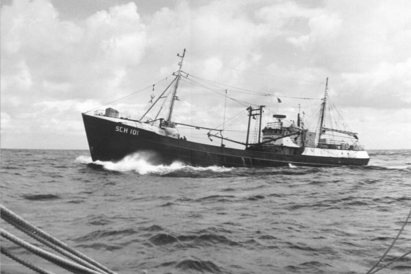 Mijn 22ste schip in 1970-71: SCH 101, de TRIJNTJE ALLEGONDE: Klik op de foto voor informatie en een vergroting