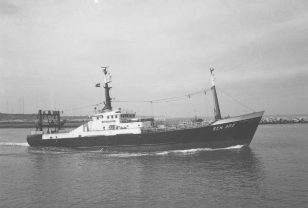 Mijn 29ste schip in 1979: SCH 302, de WILLEM v.d. ZWAN: Klik op de foto voor informatie en een vergroting